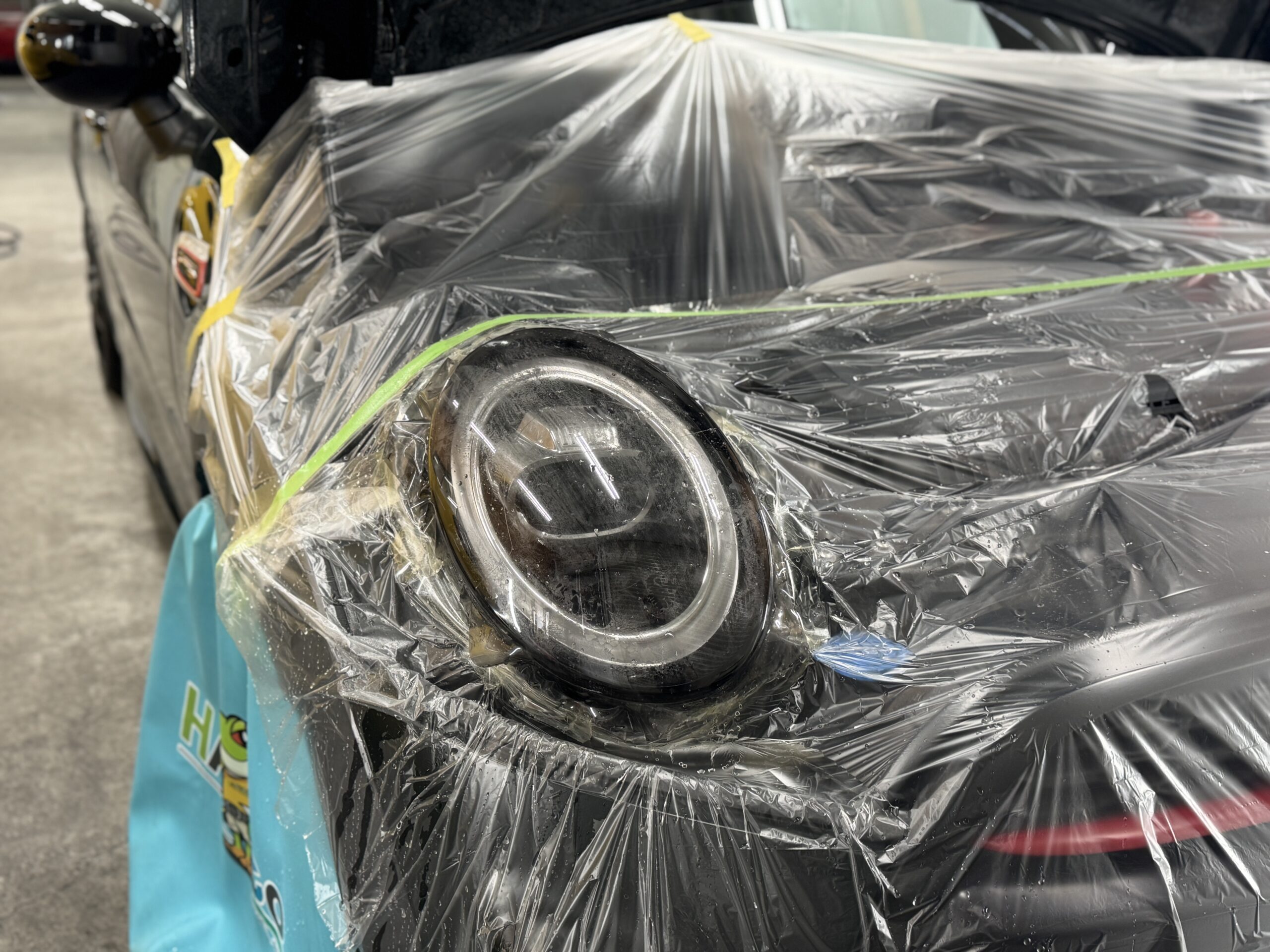 f56ヘッドライトプロテクション