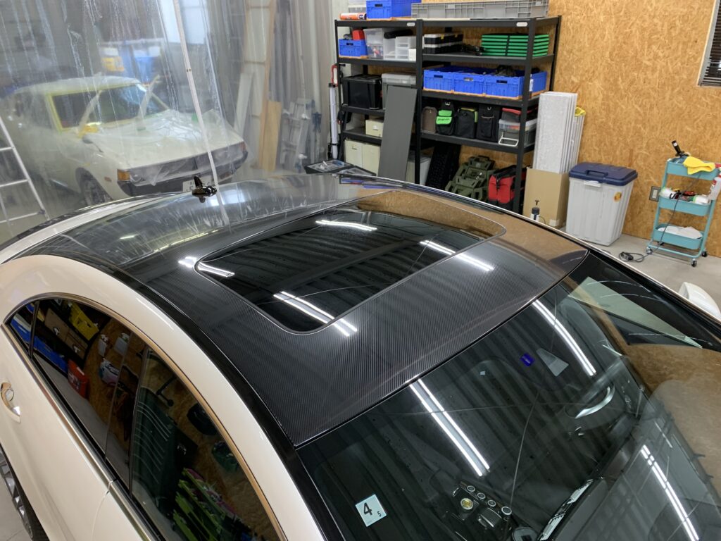 カーボンプロテクション