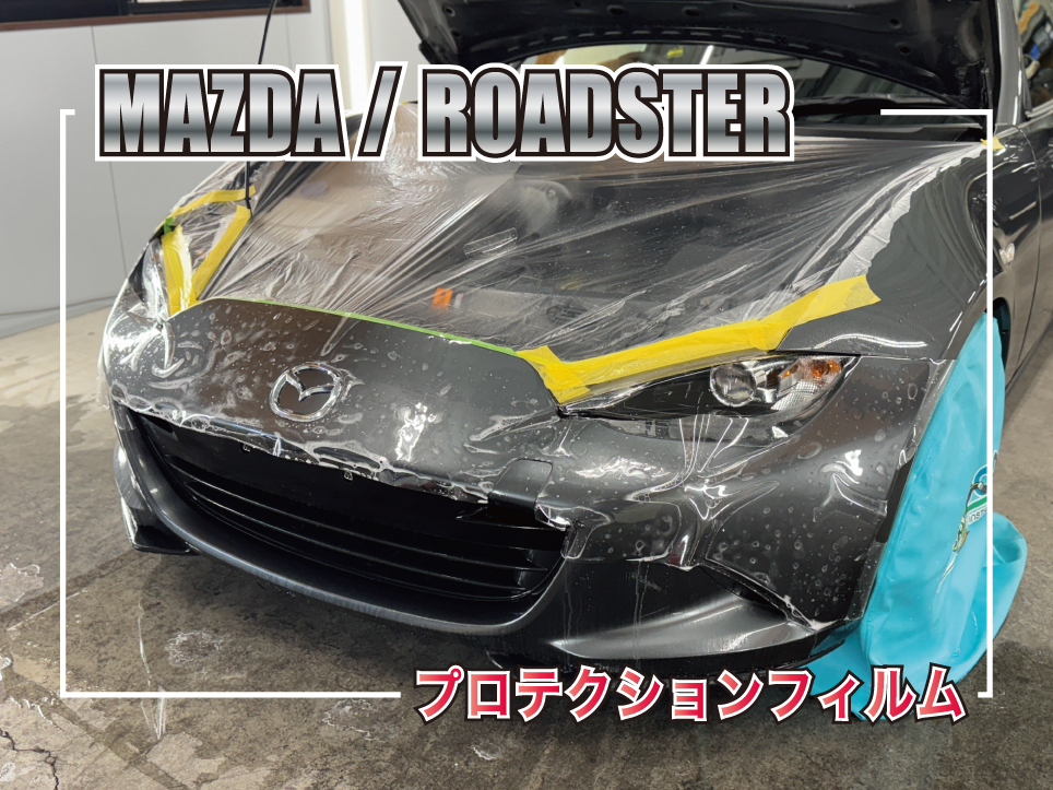 ロードスタープロテクション