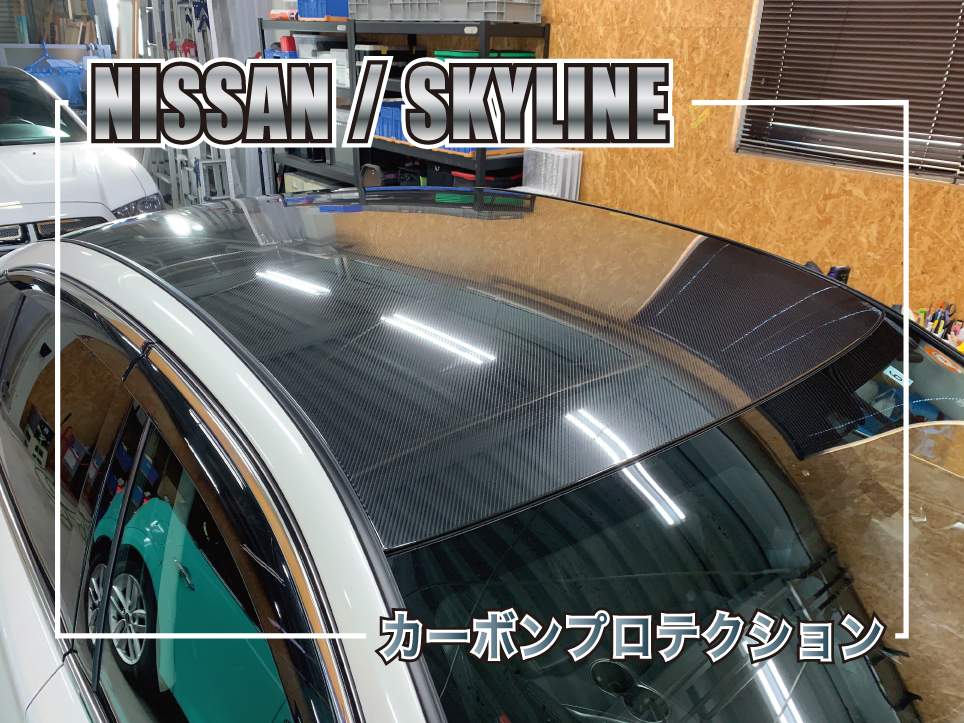 カーボンプロテクション
