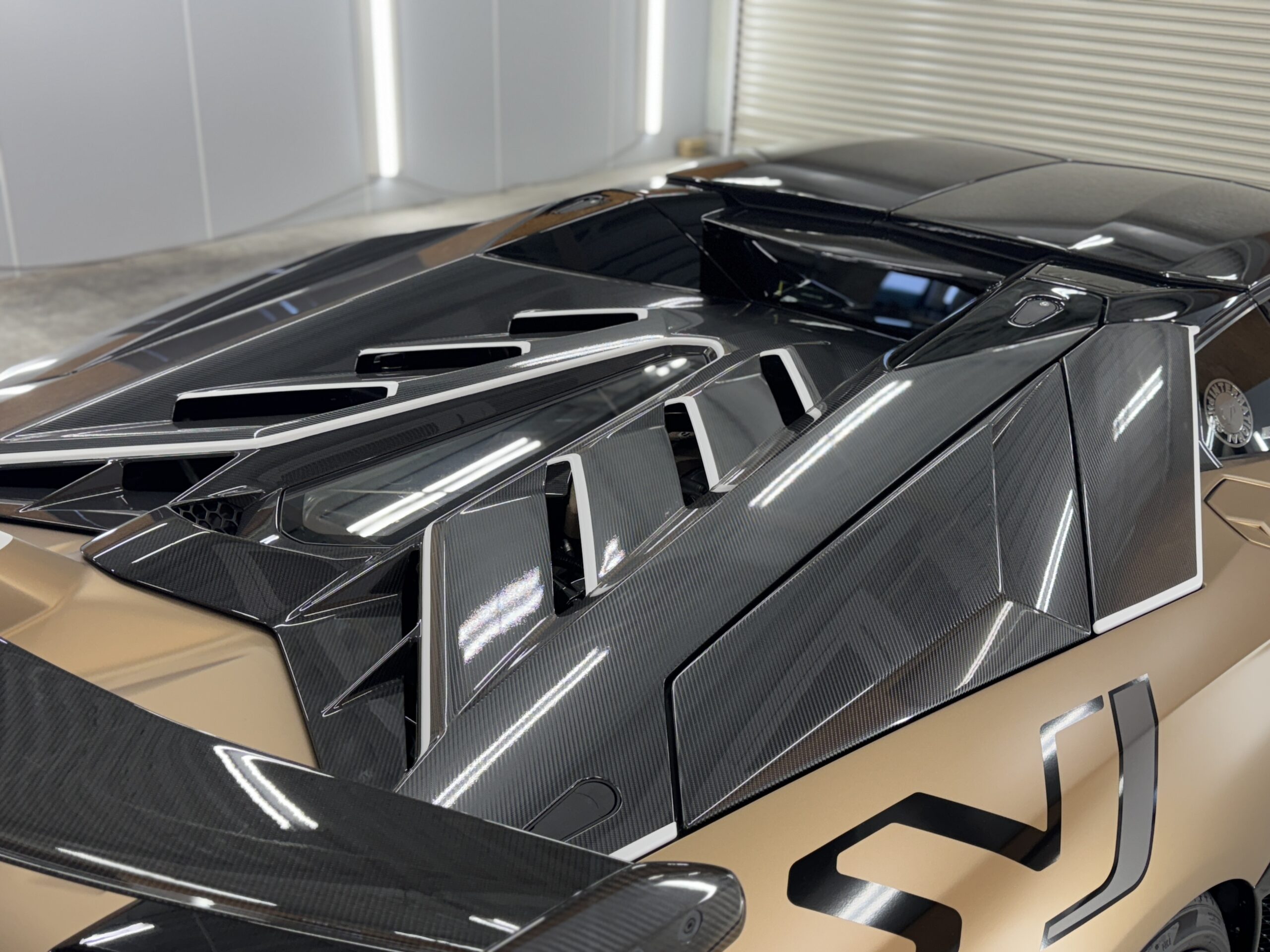 アヴェンタドールカーボンプロテクション施工