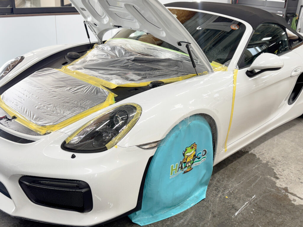 スパイダープロテクション