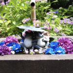 カエル（Frog）にちなんだ “運気アップ” ドライブスポット