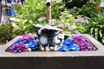 カエル（Frog）にちなんだ “運気アップ” ドライブスポット